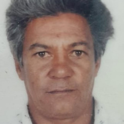 Alcino Gonçalves Viana