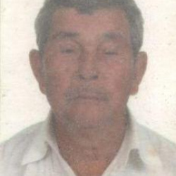 José Antulio Pêgo