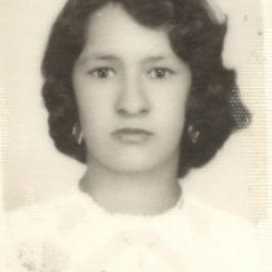 Helena Aparecida de Araújo