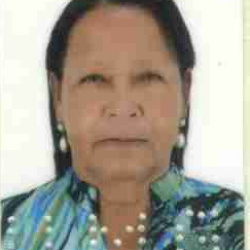Auxiliadora de Assis Patrício