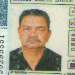 Alcides Inacio Loiola