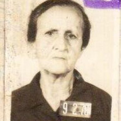 Ana  de Assis Ribeiro