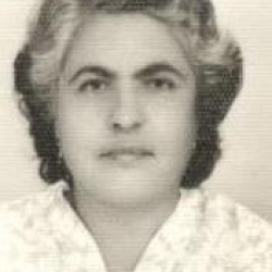 Maria de Lourdes Araujo Mendonça