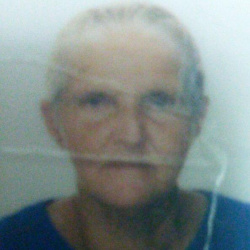 Alice Hilarino Ferreira