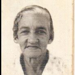 Maria José de Oliveira