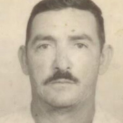 Luiz Ferreira de Faria