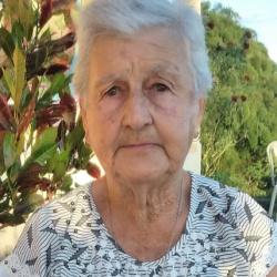 Luiza Henriques da Fonseca Campos