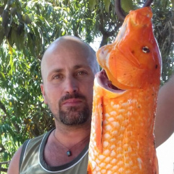 Emerson Fernandes de Melo