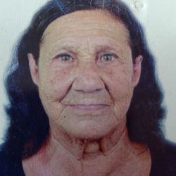 Maria Jose Alves de Araujo