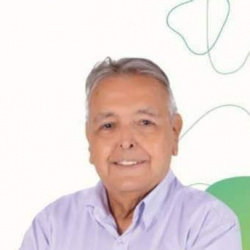 Luiz Viana David