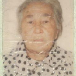Isabel Nogueira Gontijo Pinto