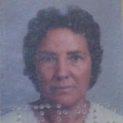 Maria José da Costa Ferrreira