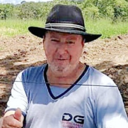 Raimundo Henrique Guimarães