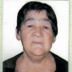 Maria da Conceição Guimarães