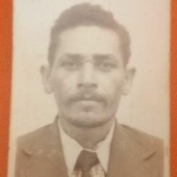José Pereira da Luz