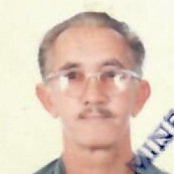 Afonso Cardoso Ferreira