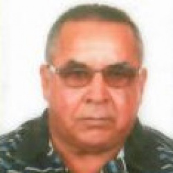 Geraldo Teixeira de Meneses