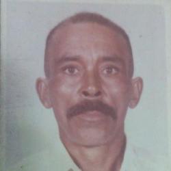 José Honorato Cardoso