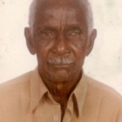 Josè Aristides Rodrigues