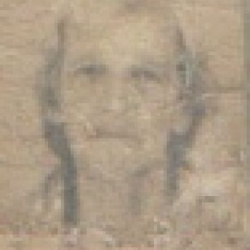 Isaura Andrade Batista