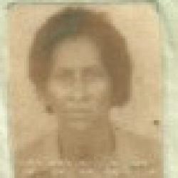 Antônia Alves Damaceno