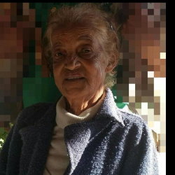 Zulmira Maria Pereira Silva