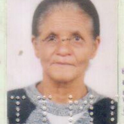 Julia Viana de Brito