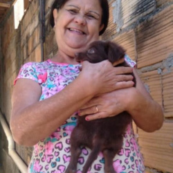 Maria Aparecida de Paula Canuto