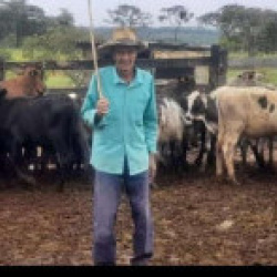 Pedro Guimarães