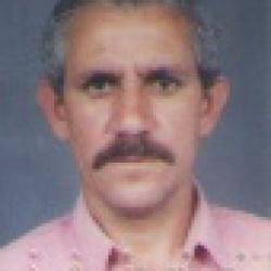 Miguel Luiz Alexandre