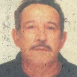 Jose Geraldo Alves