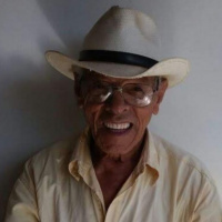 José Martins Filho