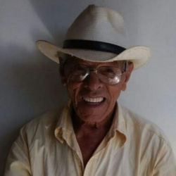 José Martins Filho
