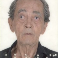 Geraldo Figueiredo Da Silva