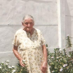 Rosalina Teixeira ferreira