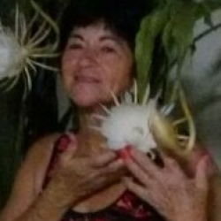 Ana Severino de Abreu