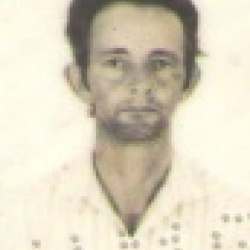 José Henriques Ferreira Filho