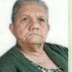 Iracema Augusta Teixeira