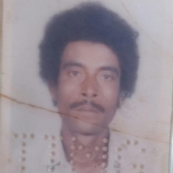 José Silvestre Gomes