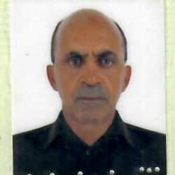 Dalmi Franco Pinto