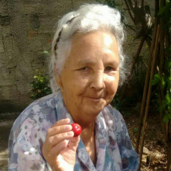 Lourdes de Oliveira Garcia