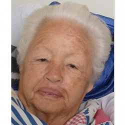 Maria José dos Santos Martins