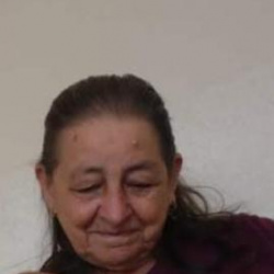 Luiza Ferreira do Amaral