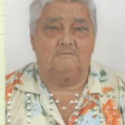 Florinda Saraiva Ribeiro