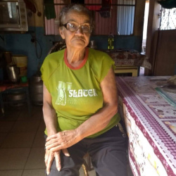 Margarida Batista Dias