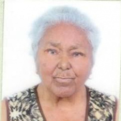 Maria do Carmo Mendes dos Santos