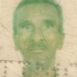 José Ramos de Figueiredo