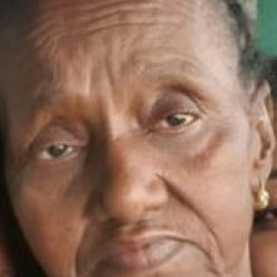 Selma Angelina Generoso Amaral