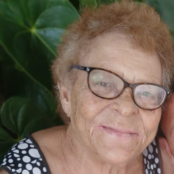 Orlandina Simões de Brito Mendonça
