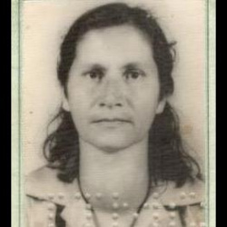 Terezinha maria de jesus bueno